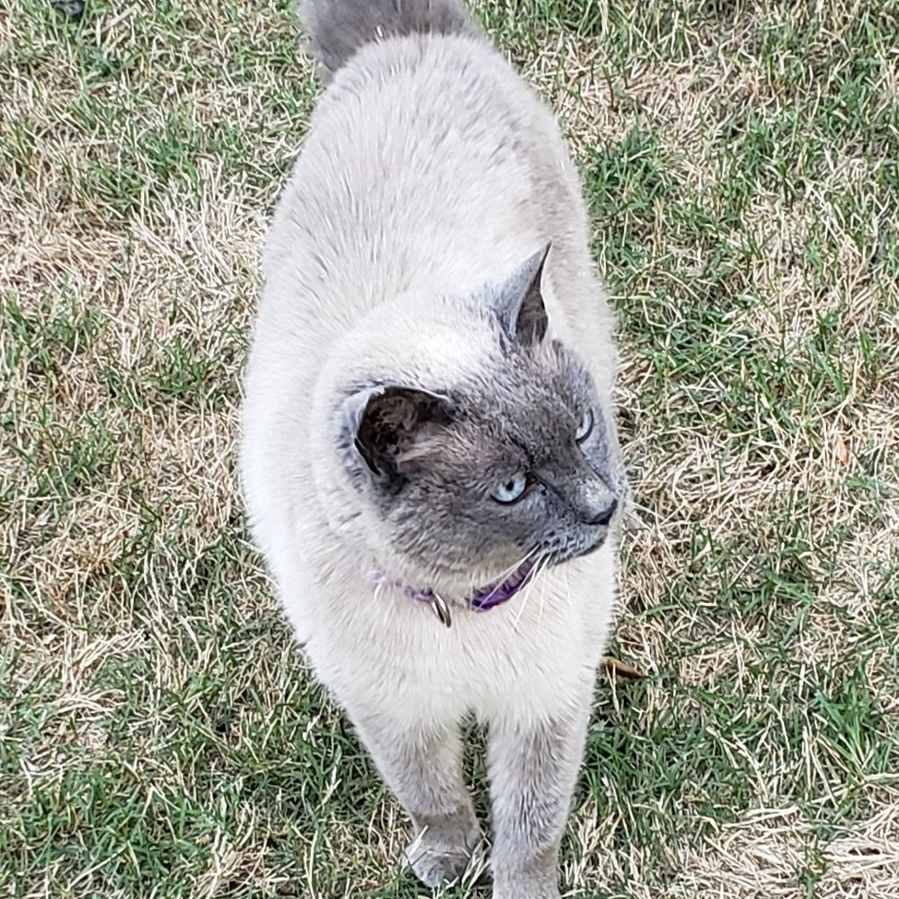 Meet your Posher, Catherine